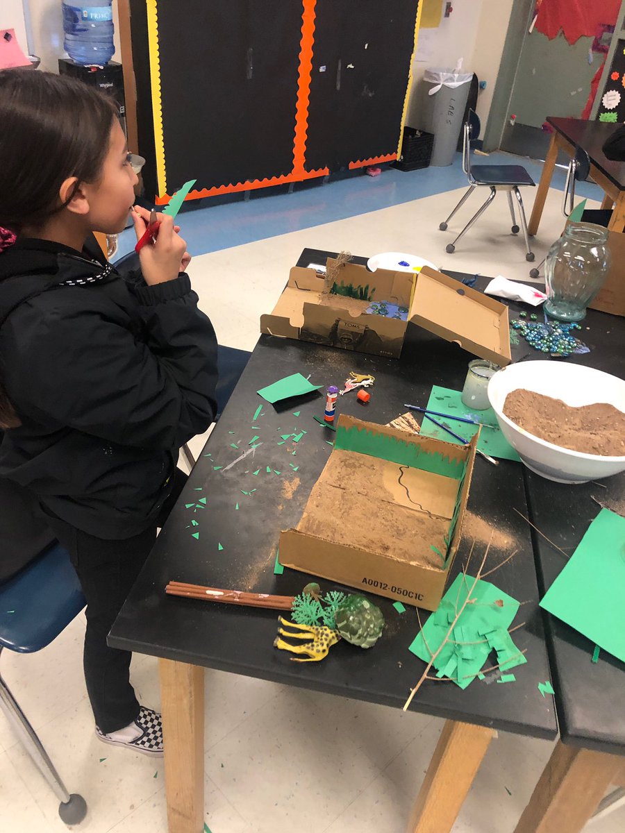 PolkPatriotsAPS's tweet photo. Biomes in Mrs. Maes’ class. #ADayInASchool #Science @APSLZ2 https://t.co/4uKqOX4e1l