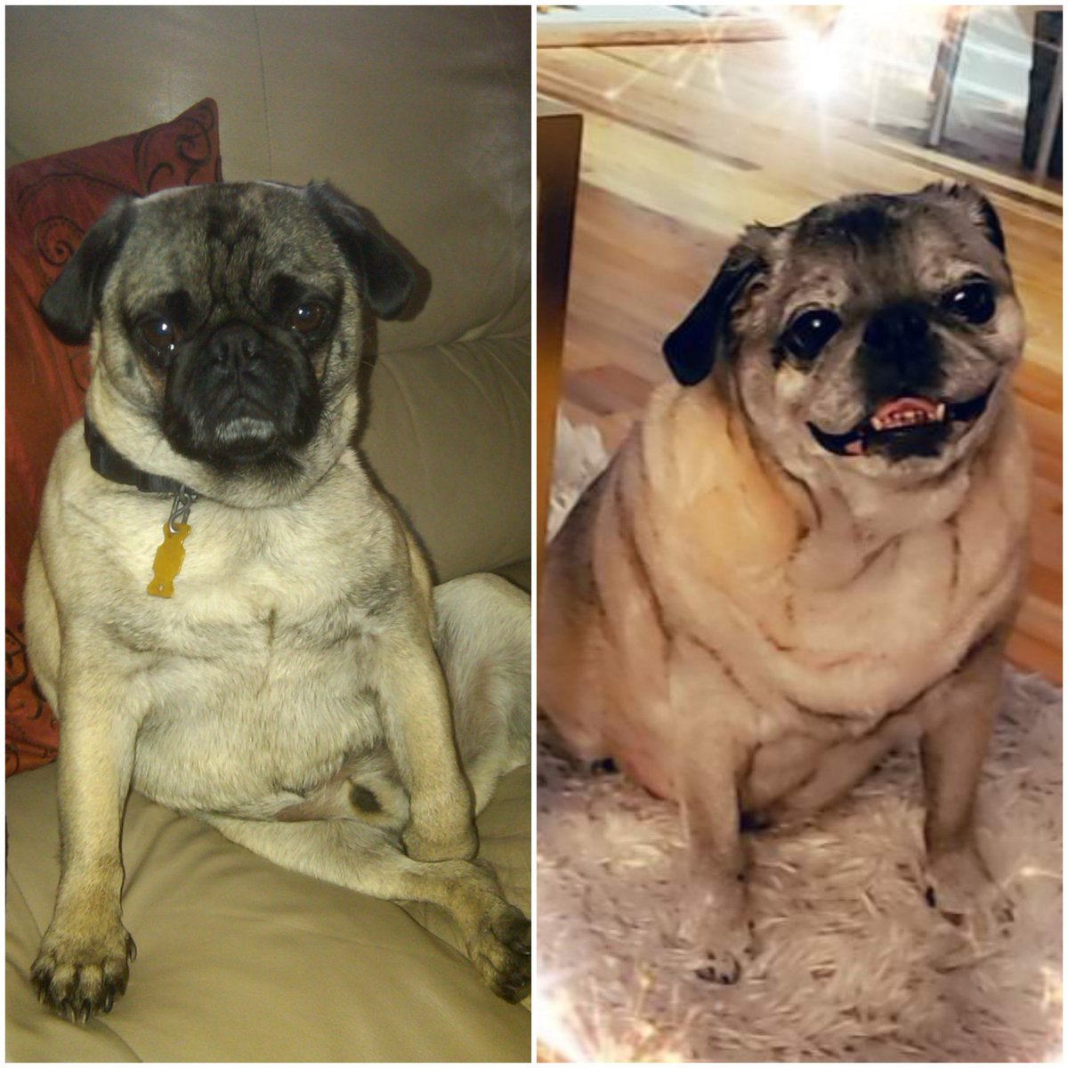 erix0x's tweet photo. weezy had to get involved.. #10yearchallenge #lilboy #bigboy #darkandbold #silveryetsleek https://t.co/MwPqoXZkW7