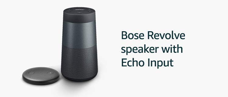 echo input bose