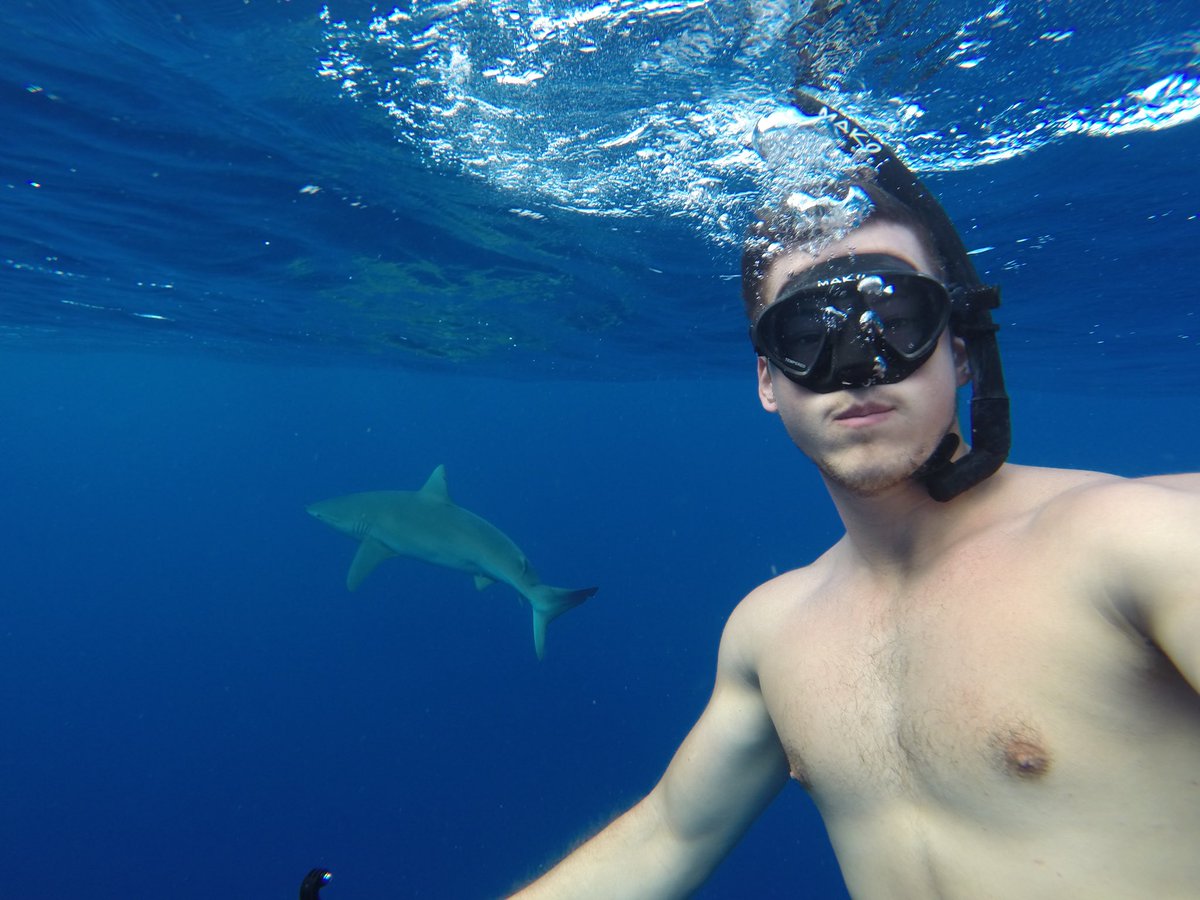 SpaceCoastCatc1's tweet photo. Nautical Nick out spearfishing!

Send your catch submissions and stories to spacecoastcatching@gmail.com , DM them to us, or use #SCCatching for a retweet! 
#fishing #boat #catching #time #ice #reef #sun #Florida #spacecoast #coast #sea #ocean #sun #happiness #shark #spearfishing https://t.co/uyHsTyT6IU