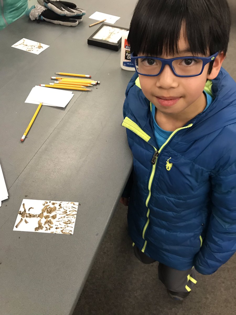 WEMSWolfRidge's tweet photo. We had some pretty impressive “creatures” in the Owl Pellets night class!! #Group2E https://t.co/tAXKHSWSMt