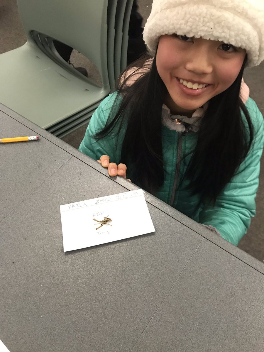 WEMSWolfRidge's tweet photo. We had some pretty impressive “creatures” in the Owl Pellets night class!! #Group2E https://t.co/tAXKHSWSMt