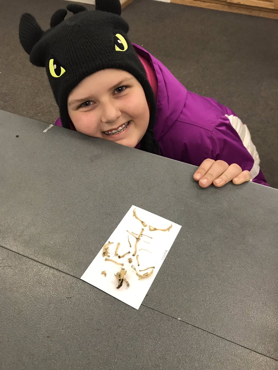 WEMSWolfRidge's tweet photo. We had some pretty impressive “creatures” in the Owl Pellets night class!! #Group2E https://t.co/tAXKHSWSMt