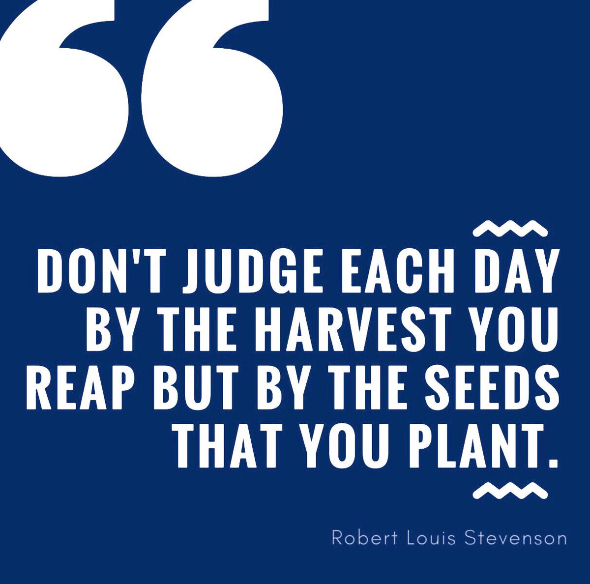 availabilityca's tweet image. With all the rain, it makes us so excited to see what will be blooming in just a few short months, the same thing can be applied to your work ethic, if you put in the effort now you are sure to reap the benefits down the road, either in compensation or education.