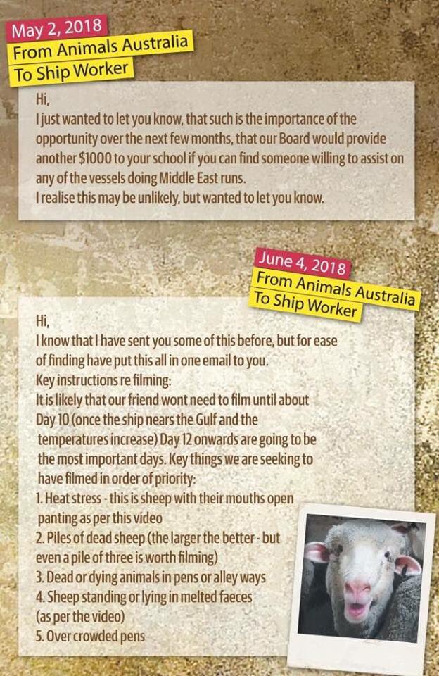 burgess_ag's tweet photo. Hey @AnimalsAus just wanted to say fuck you!! You made out to the worlds media we are cruel heartless farmers.. yet your setting up cruelty on purpose for the sake of ruining an industry.. I hope your taken to the cleaners over this!!!! https://t.co/rqKo7Eh2D4