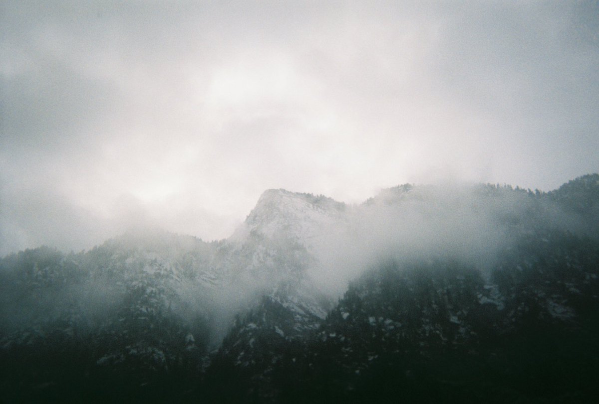nat_evans_'s tweet photo. Disposables https://t.co/tfhKv7JzRr