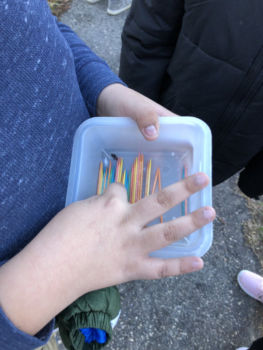 Molly72680727's tweet image. 4th grade students doing the toothpick camouflage challenge #itsfreezing #canyoufind250toothpicks @WSFCS_Science @OldTownEagles