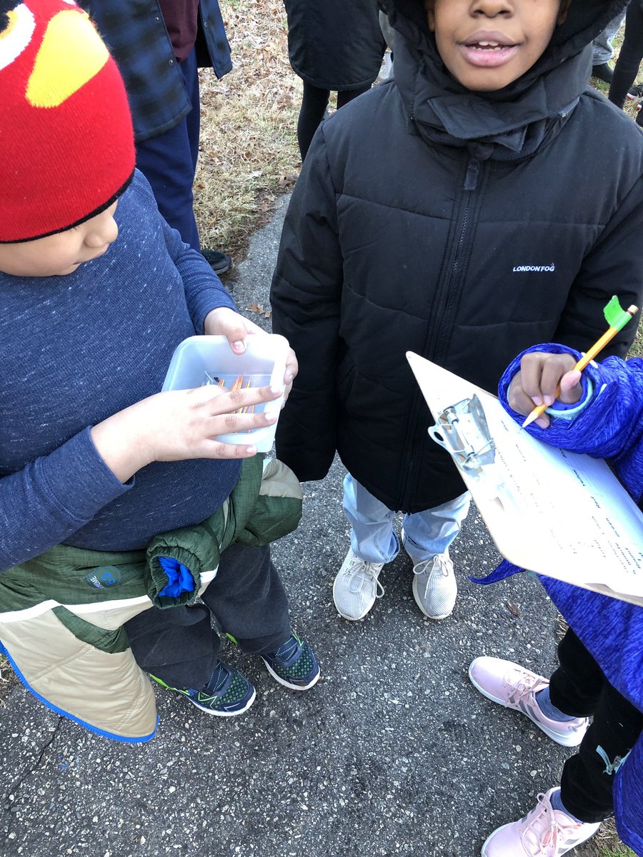 Molly72680727's tweet image. 4th grade students doing the toothpick camouflage challenge #itsfreezing #canyoufind250toothpicks @WSFCS_Science @OldTownEagles