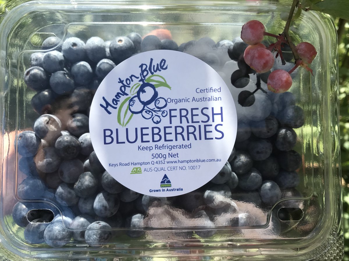 Hampton_Blues's tweet photo. 20 Jan 2019 Northey Street Organic Farmers Market   💙😰 - https://t.co/e4a2CACIBC https://t.co/vPyj8cQBrR
