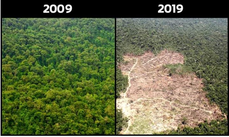 #Viral  Vea el  #10YearChallenge que muestra la destrucción de nuestro planeta ►ow.ly/9NUo30nkZS7