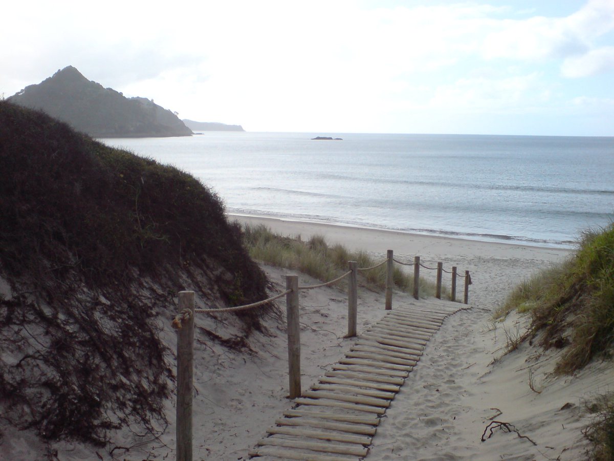 NZBatman's tweet photo. We’re looking for an experienced Biodiversity/Biosecurity Advisor based on Great Barrier Island, to join us to deliver technical advice, and support restoration initiatives to protect &amp; enhance indigenous biodiversity
https://t.co/zlzTzdiOLB #aklbiodiversity #biosecurity #career https://t.co/c9F5wWwaWo