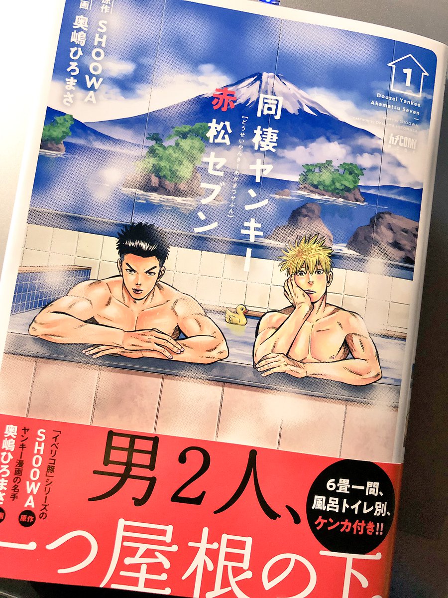 めっっっっっっっちゃおもしろかった!!!2019年心に残るBL第1位!!2019年開始わずか17日で出ちゃいました!!はぁ…電子でも買っとこ 