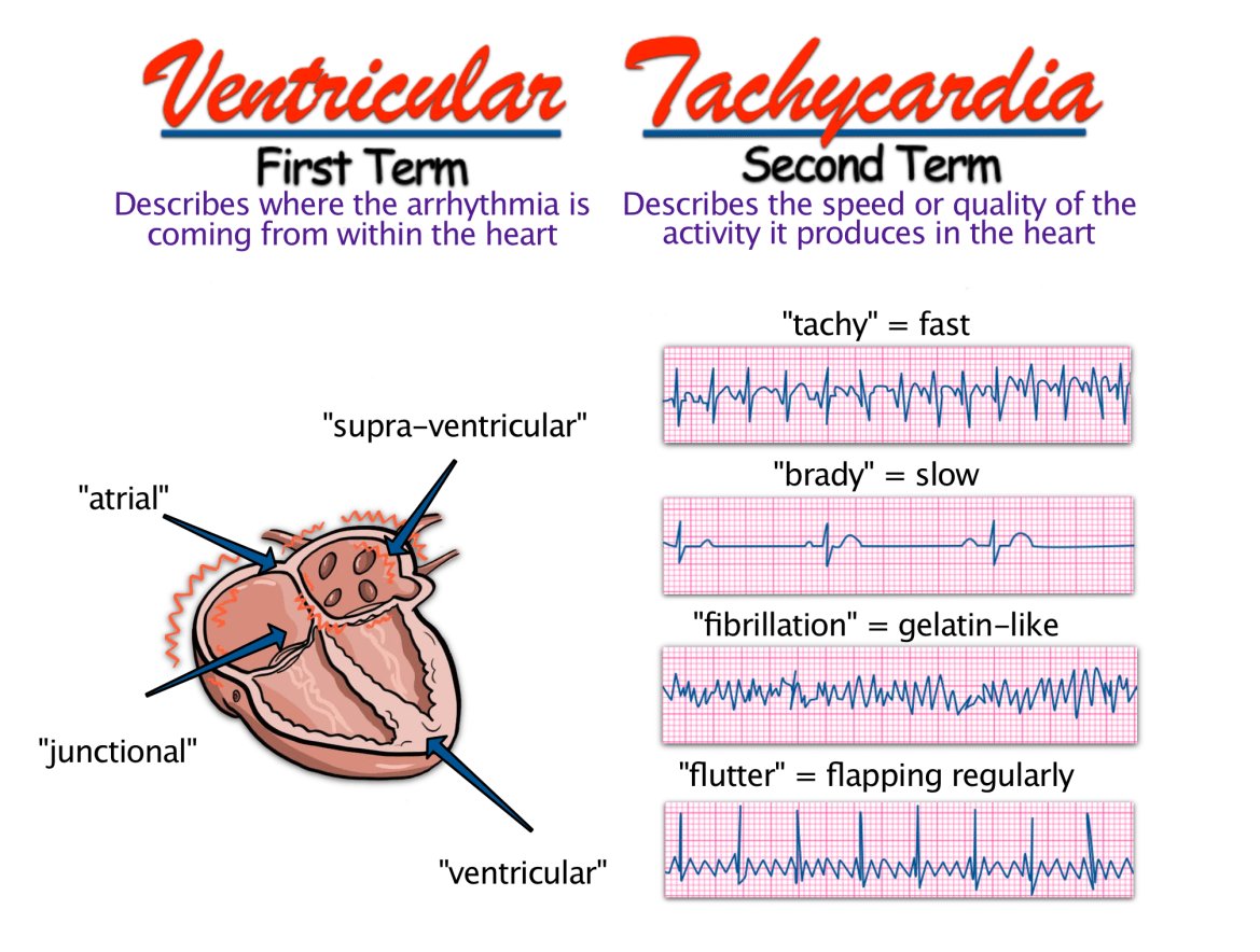 CardiovascTher's tweet photo. Cardiovascular Therapy Open Access                       

Submit your Manuscript at :- cardiotherap@healthjournals.org https://t.co/OUivZrcw7t