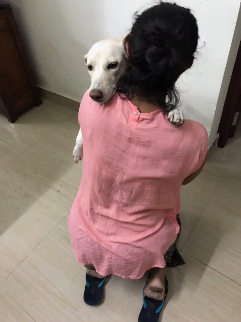 studiokokaachi's tweet photo. I KISS. I HUG. Because I LOVE.
#surumi #streettoheart #adoptdontbuy #ourbaby #kokaachidoggies #ouryoungest #childrenofheaven #pidog #kokaachi #kochi https://t.co/FM0ghAbCvV