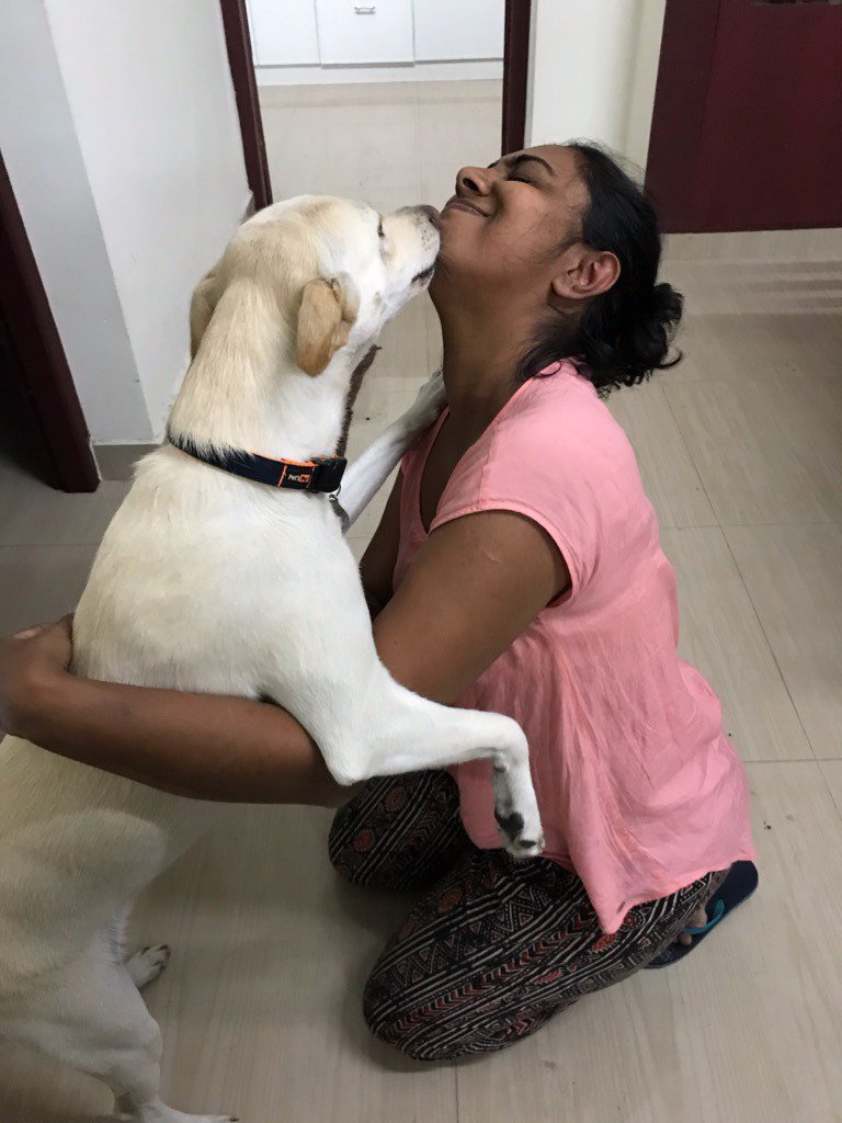studiokokaachi's tweet photo. I KISS. I HUG. Because I LOVE.
#surumi #streettoheart #adoptdontbuy #ourbaby #kokaachidoggies #ouryoungest #childrenofheaven #pidog #kokaachi #kochi https://t.co/FM0ghAbCvV