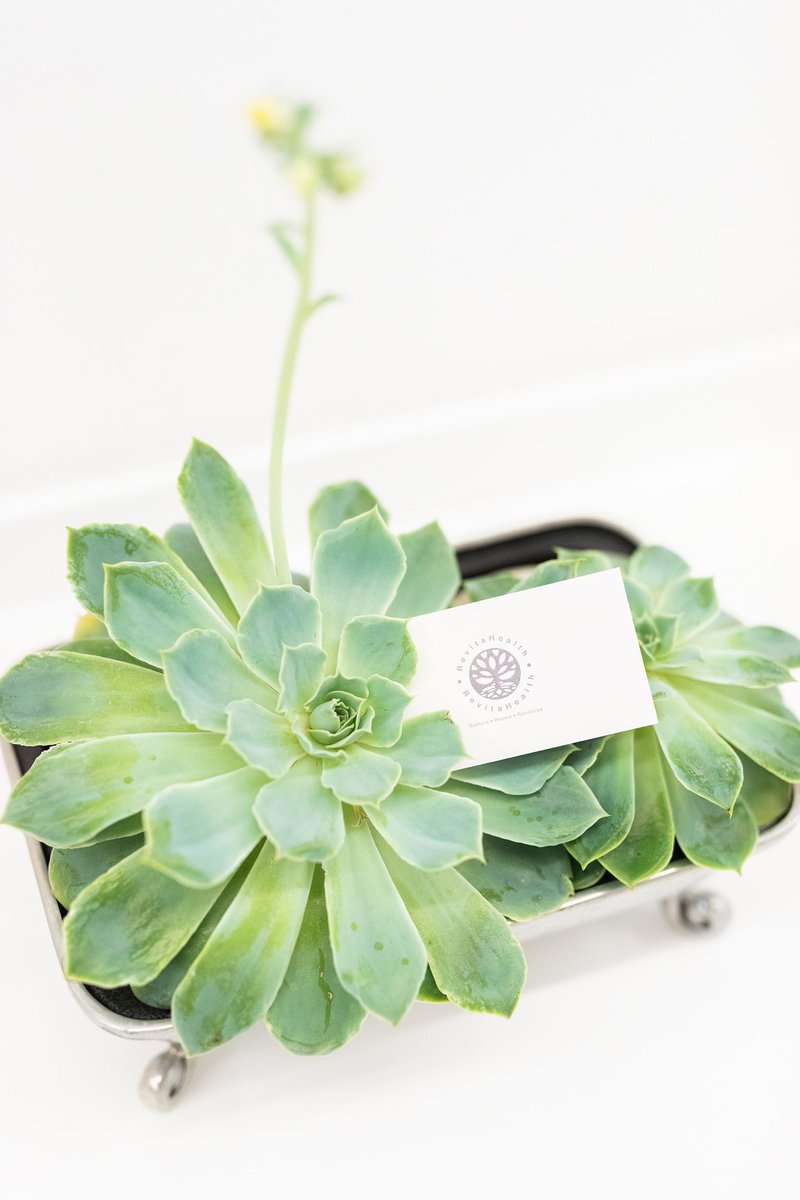 “Home skin care is vitally important, but for certain concerns like hyperpigmentation, acne, and scarring a medical treatment can do wonders in as little as one treatment”

- Anneke, Aesthetic Therapist at RevitaHealth
🌿
Be sure to visit us for a free skin consultation!