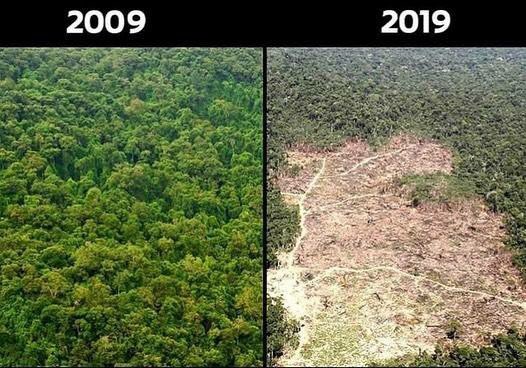 AdamKfe's tweet photo. Le seul #TenYearChallange qui devrait vous préoccupez ... 
@surfridereurope @greenpeacefr https://t.co/ZAjlbU0zKe