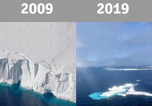 AdamKfe's tweet photo. Le seul #TenYearChallange qui devrait vous préoccupez ... 
@surfridereurope @greenpeacefr https://t.co/ZAjlbU0zKe