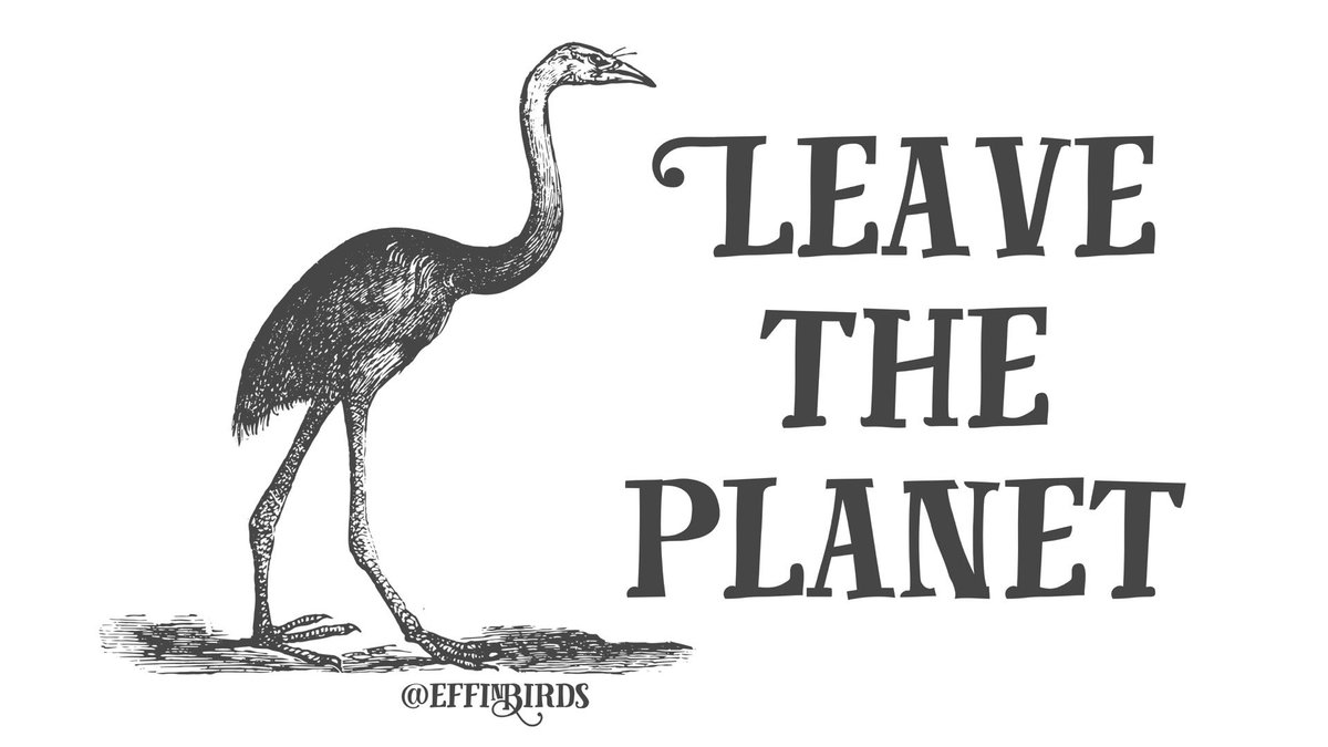 EffinBirds's tweet photo. https://t.co/0rwwbtIJ1z