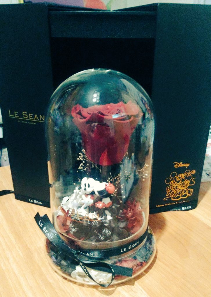 VanessaKaze's tweet image. 13-01-2019
I got a secret birthday gift on my birthday~Thanks for the Mr.  Invisible ~Although you left the card without your name,  I know it were you..... 
#CantBackInThePast #pleaseletusgo