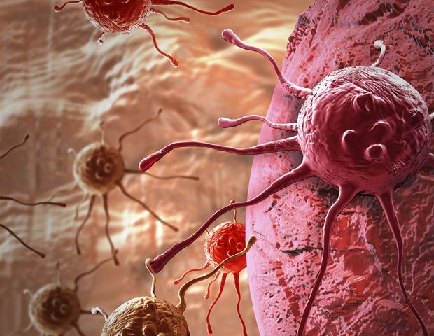 Regen BioPharma News tweet media