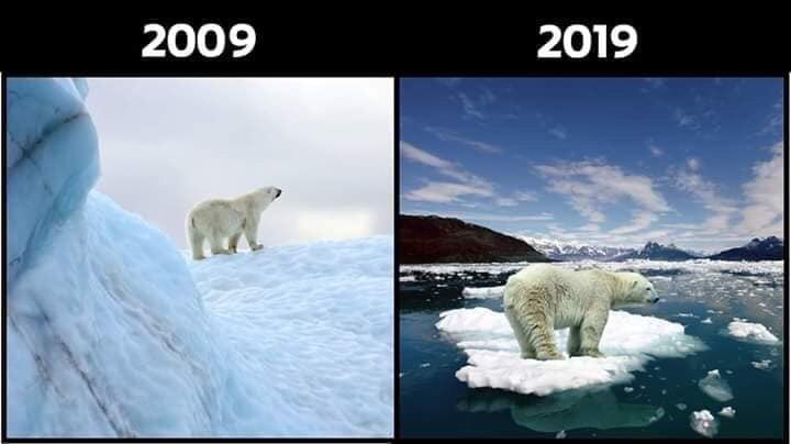 Adonai_off's tweet photo. #10yearschallenge ...secondo me dovreste riflettere su questi cambiamente qui, mie piccole caprette smarrite. https://t.co/h6lgdhEmlC