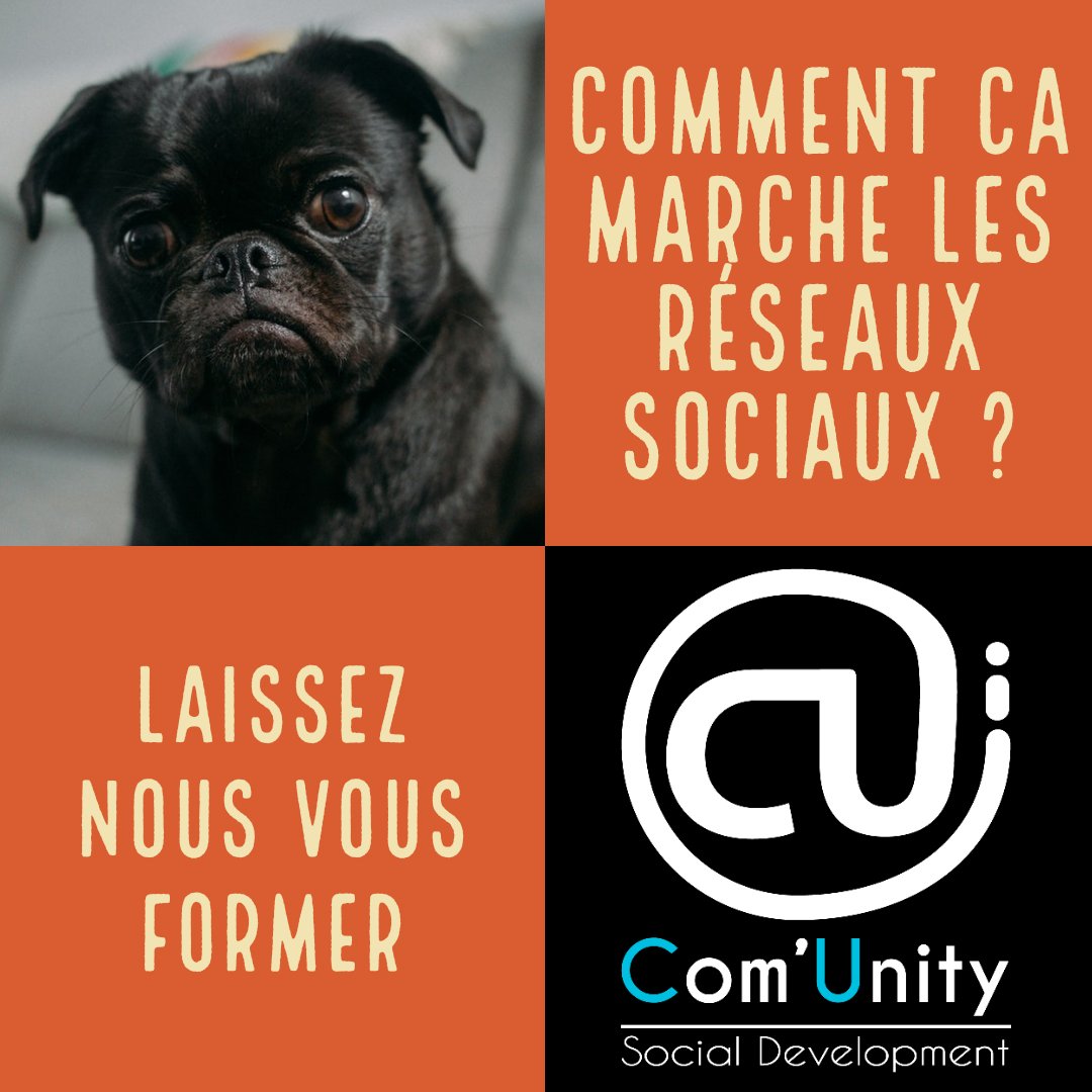 //FORMATION RÉSEAUX SOCIAUX //
➡ De la mise en place à l’utilisation des différents #réseaux, ➡ des bonnes pratiques aux #stratégies à adopter, ✨ vous serez ainsi capable de #communiquer e҉f҉f҉i҉c҉a҉c҉e҉m҉e҉n҉t҉ sur vos produits et #services …  ➡ com-unity.pro/formations/