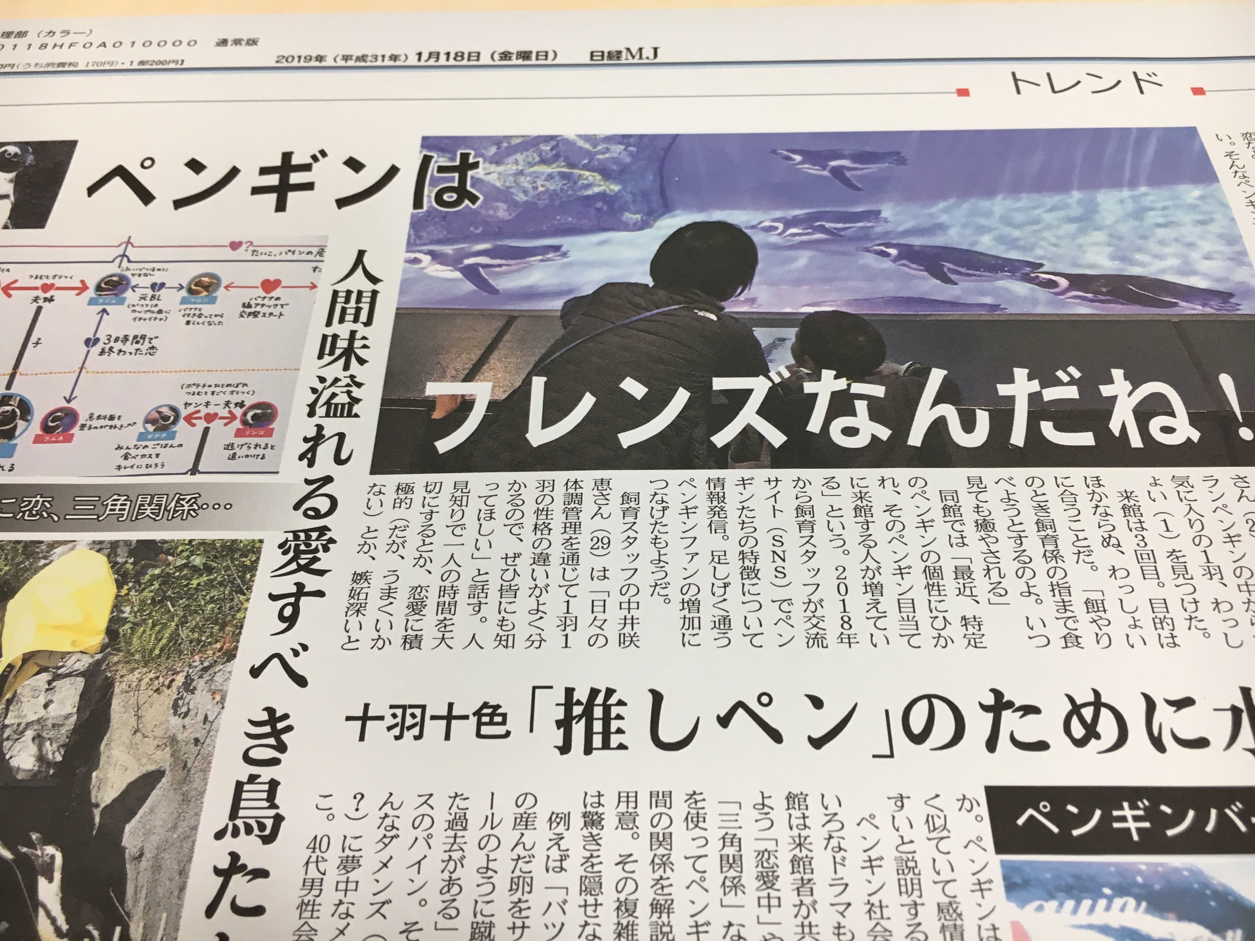 日経ｍｊ 18日ｍｊから けもフレ ならぬペンフレです ペンギン の生態 いや生き様に惚れ込んだ人たちがペンギンたちとのふれあいについて熱く語ります 不倫や三角関係もあり 人間さながらのドロドロにはまる人が続出している みたいです