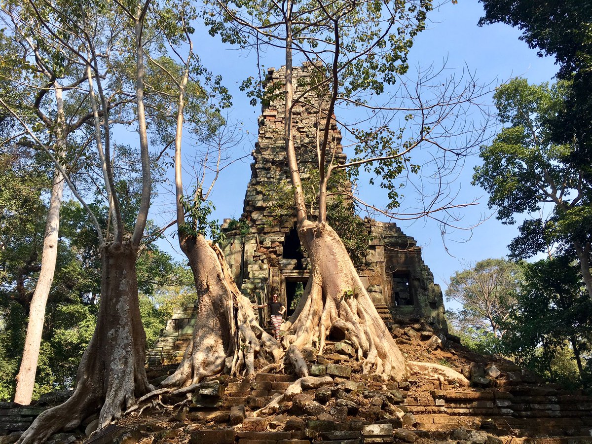 TobiasPret's tweet photo. The #AngkorWat temple complex is stunning! One of the most gorgeous archaeological sites we have ever visited! 🌴 🐒 🇰🇭 #Cambodia #SiemReap @AvielCogan https://t.co/voQ9gMJWCC