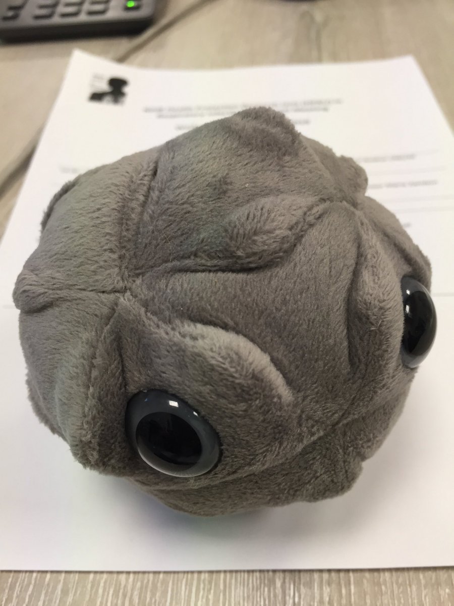 AlisonNWLChamp's tweet photo. Attended a great PPI event yesterday for the respiratory health research group at Imperial. Left inspired to work with patients and public in research, but also with a good idea of what the polio virus might look like in a soft toy form! @Imperial_PERC #PPIcafe #PPI https://t.co/FcEQNXPCUF