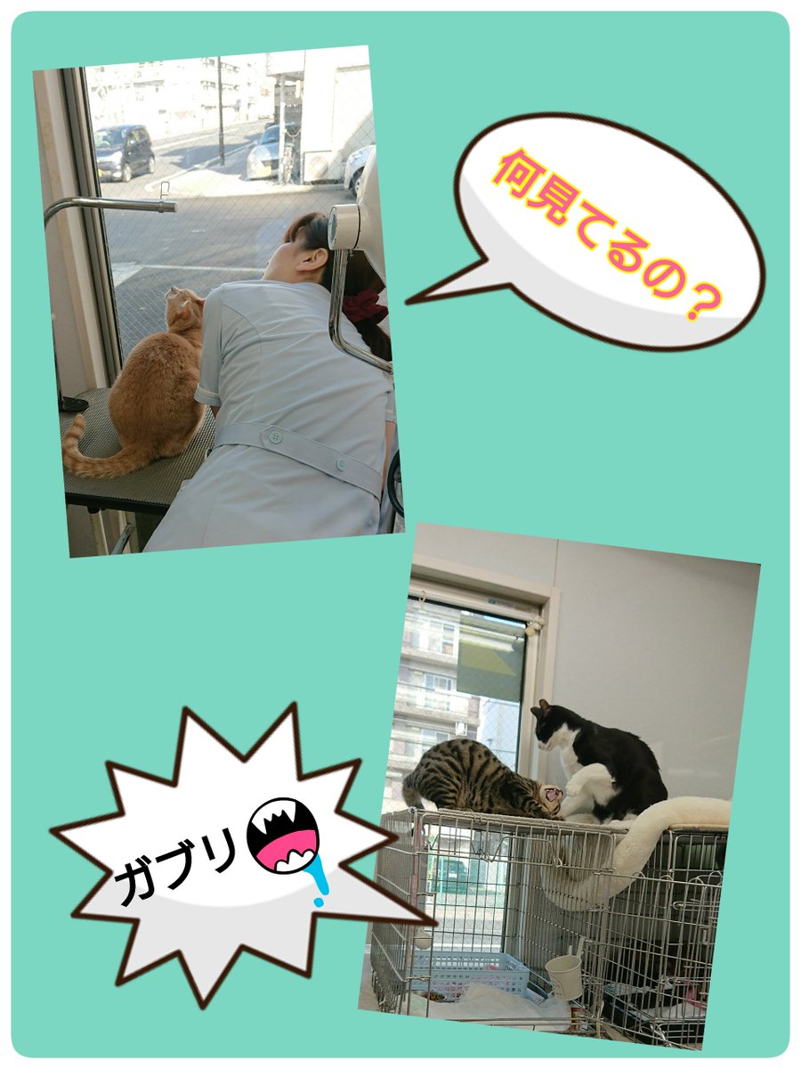 何が見えてる