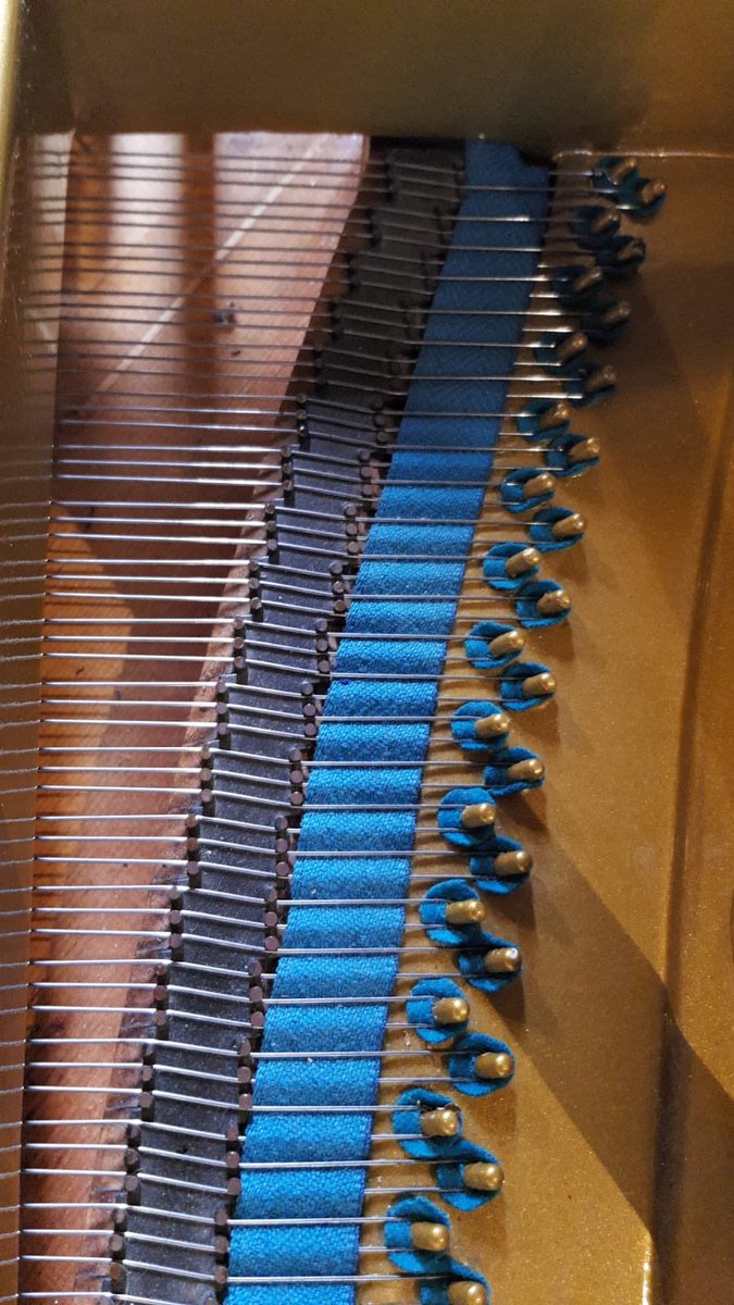 piano_workshop's tweet image. Always lovely getting to revisit one of our projects.  This Bechstein was with us a couple of years ago and the new strings have bedded in beautifully #restoration #restring #passionforperfection #thepianoworkshop #northyorkshire #bechstein