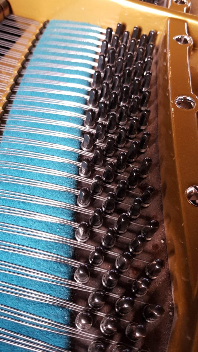 piano_workshop's tweet image. Always lovely getting to revisit one of our projects.  This Bechstein was with us a couple of years ago and the new strings have bedded in beautifully #restoration #restring #passionforperfection #thepianoworkshop #northyorkshire #bechstein