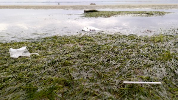 jdeelizalde's tweet photo. #PlasticFam, ganador de la primera edición del concurso de #MaresCirculares. Conoce este proyecto para la recogida y gestión eficaz de los residuos marinos
https://t.co/syb59ci24p https://t.co/CghdJXjOZl