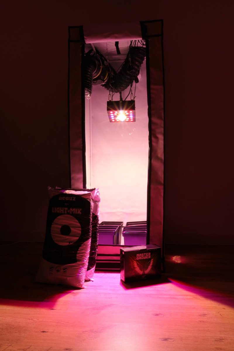 FloraLED_FR's tweet image. Découvrez nos packs complets pour cultiver en intérieur rapidement ! 🌱👏
📦 Recevez tout dans un seul colis: Chambre de culture, éclairage horticole LED, kit de ventilation... Tout y est ! 👍
Retrouvez-les ici ➡ buff.ly/2VZgI4P
#floraled #packs #cultureindoor #led