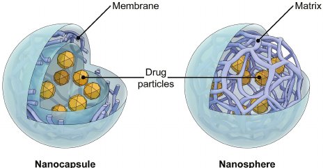 nanotechcong's tweet photo. Preparation of Ag‐Embedded Polystyrene #Nanospheres and #Nanocapsules by Miniemulsion Polymerization.
#polymerization #polysterene #nanosciencecongress #nanotechsummit19
For details: https://t.co/PsDXhORzsy https://t.co/aok3t5U7vb