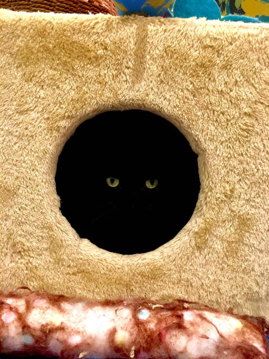 キャットランド 猫カフェ ルアナ 深淵をのぞく時 深淵もまたこちらをのぞいているのだ 哲学者フリードリヒ ニーチェ 1844年 1900年 岡山 猫 猫カフェ 岡山観光 黒猫 ボンベイ 黒猫あるある 猫好きさんとつながりたい 猫好きはrt キャットランド 猫カフェ ルアナ 深淵をのぞく時 深淵もまたこちらをのぞいているのだ 哲学者フリードリヒ ニーチェ 1844年 1900年 岡山 猫 猫カフェ 岡山観光 黒猫 ボンベイ 黒猫あるある 猫好きさんとつながりたい 猫好きはrt