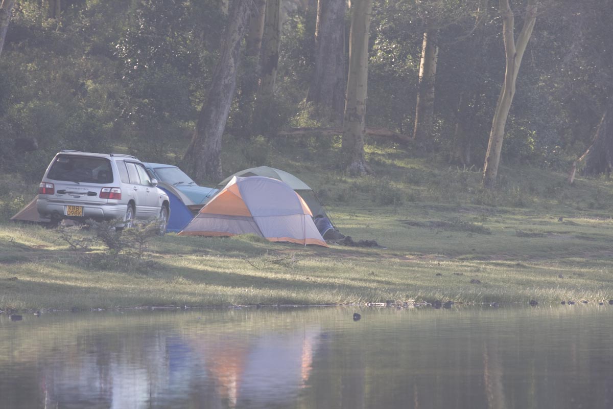 Some of the first trips we did were camping ones to Lake Elementaita with friends and colleagues from  @ARKafrica_. Back then, you could camp by the lake shore for free. More photos at the links below. https://flic.kr/s/aHsiZBmi9N  https://flic.kr/s/aHsiX3PBxw  https://flic.kr/s/aHsjbpDvPB 