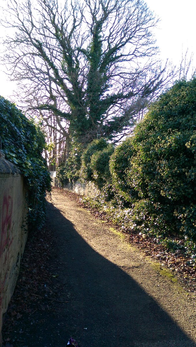 I love walking the #Leeds ginnels.  Just off to do recce for <a href="/LeedsTours/">Rachael Unsworth</a> this weekend. Green business building on my long years as geographer in the city.