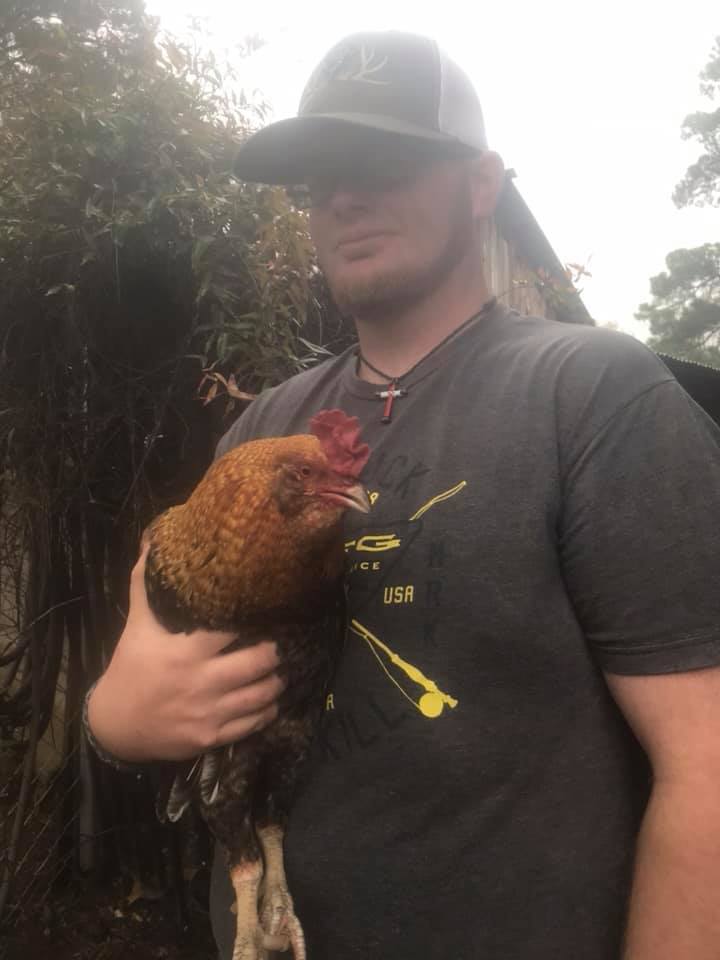 threechicksfeed's tweet photo. Swing by and see your favorite chicks and a few roosters too! #Threechicksfeed #realrooster #chickenchasing https://t.co/IKSfCRW1Sl