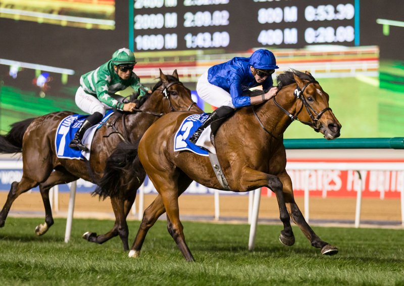 Dubai Racing Club tweet media