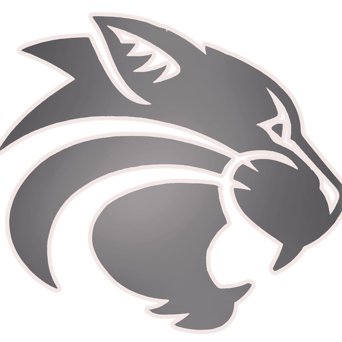 LGHS_Athletics's tweet photo. Goodluck to our @LGHSWrestling team as they compete in state duals today!  #LGontop #Wildcatnation #pineveryone https://t.co/tmQa0WUre9