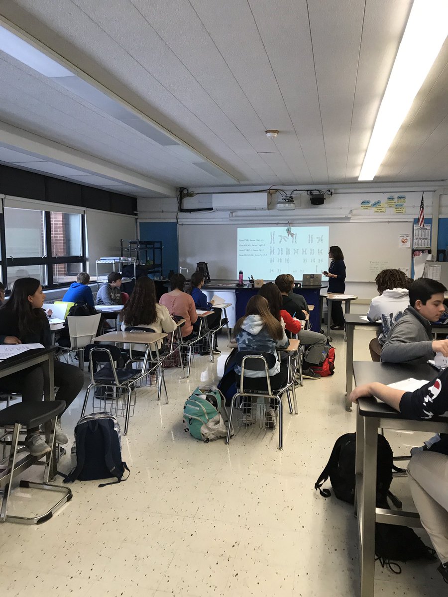 Students decode DNA by studying  Albinism #d230connect