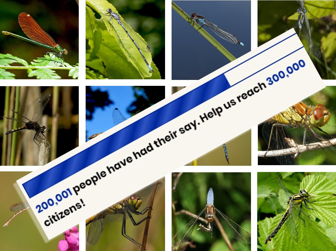 GEWELDIG! Namens alle libellen hartelijk dank! Er zijn al meer dan 200.000 ondertekenaars van de petitie om de kaderrichtlijn Water overeind te houden. Heb jij al getekend? naturetoday.com/intl/nl/nature…