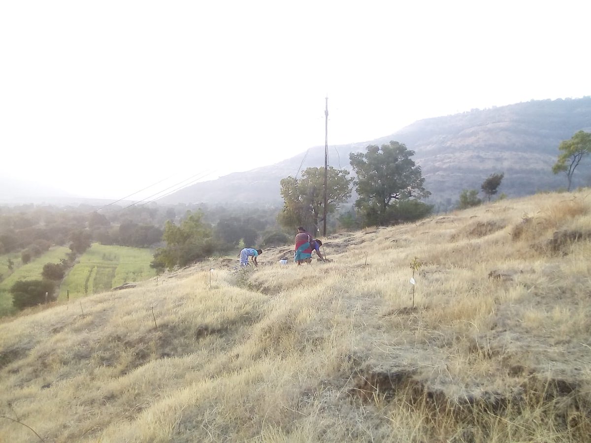 Grampari's tweet photo. Planting of trees on the hillside to help with water conservation. #waterconseration #springprotection #grampari #GrampariAdoptedVillage #GAV https://t.co/4xE4iIff0w