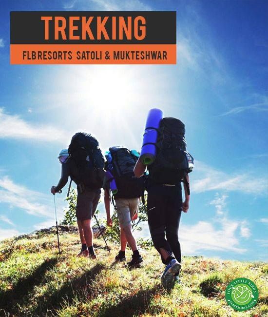 FlbResorts's tweet photo. Book your holidays https://t.co/vixKKvT1c1 or Call us +91.9999.55.8007 
#FLBresorts #LivetheLocal #Travel #IncredibleIndia #Solo #travelphotography #traveltheworld #traveldiaries #travellife #photography #ttot #photo #nature #vacation #photooftheday #adventure #landscape https://t.co/GFmot55R0e