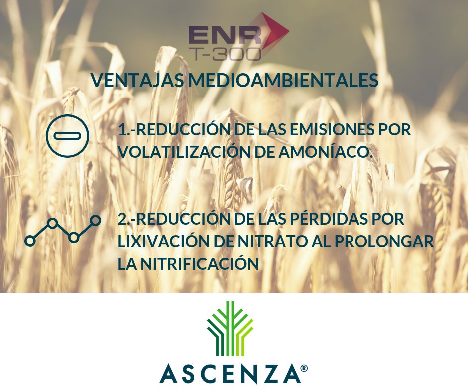 ASCENZAEspana's tweet photo. 🌽#ENRT-300 es el formulado de #ASCENZA que aumenta la eficacia del nitrógeno aportado por cualquier tipo de fertilizante que contenga nitrógeno ureico. ¿Quieres conocer sus beneficios agronómicos para tus cultivos y medioambientales?
➡️➡️ https://t.co/eeIxm5HWDC https://t.co/nQYTYeElGC