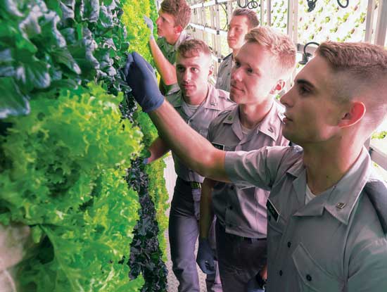 Growing food in shipping containers?  That's exactly what these cadets from The Citadel, a military college in South Carolina did and it's pretty amazing!