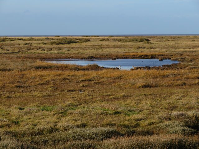 Did you know that right infront of us is the @RSPBNorfolkLinc Titchwell Marsh that includes reedbeds, saltmarsh and freshwater lagoons where avocets, bearded tits and marsh harriers nest. The perfect break for twitchers! #titchwellmarsh #titchwellrspb #northnorfolk