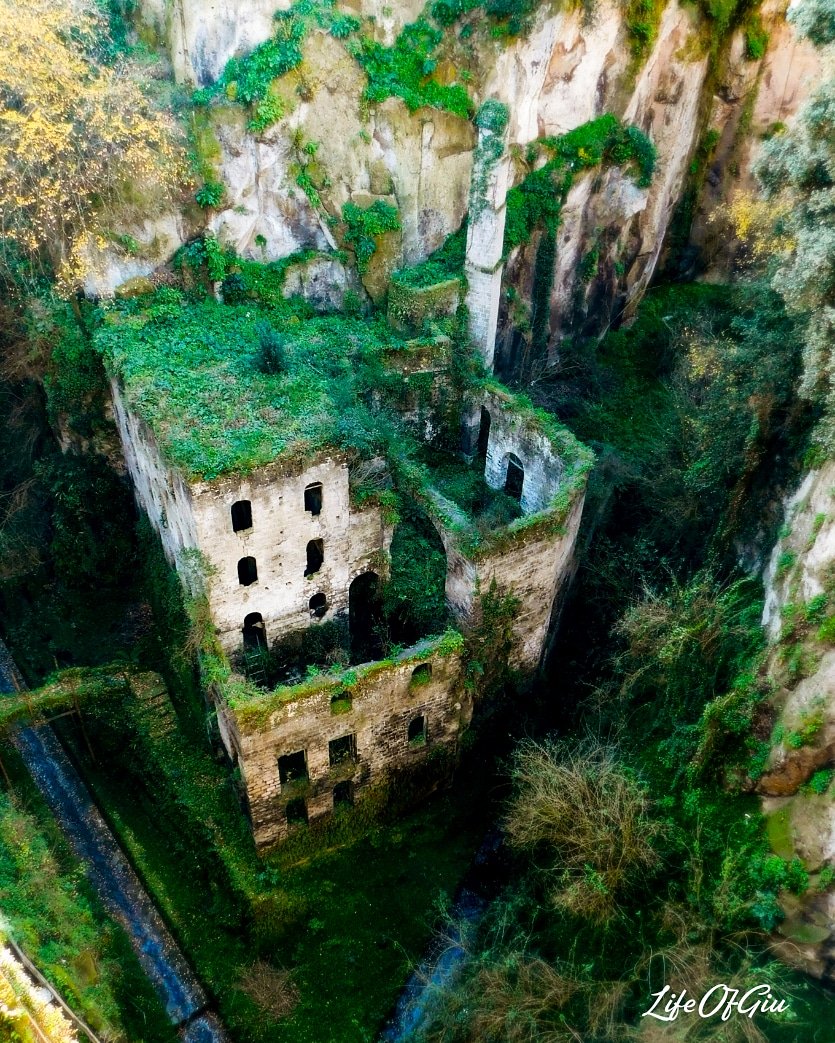GiuliaVillani95's tweet photo. #nature #green #Sorrento #Nikon #Italy https://t.co/rSjp2do9pf